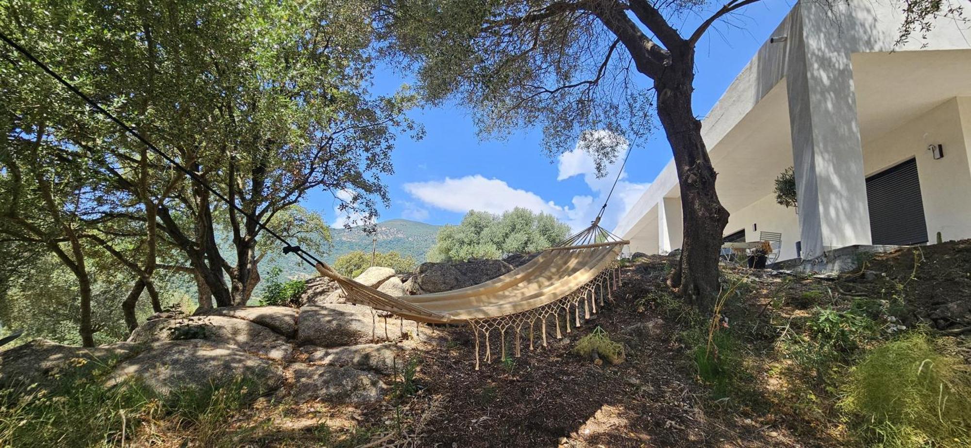 Ferme Casa Pian D'Olmo Ferme Hotel Olmiccia Exterior photo